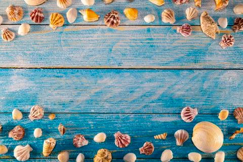 Summer time concept with sea shells on a blue wooden background 库存照片