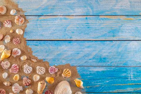 Summer time concept with sea shells on a blue wooden background and sand Фото