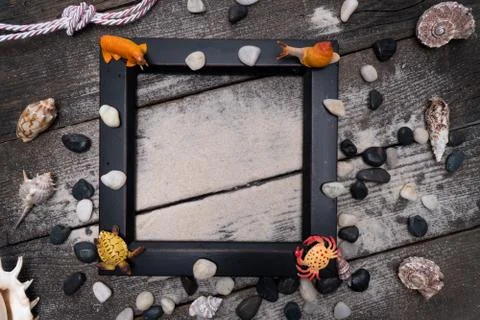 Summer time concept with sea shells on wooden background and sand. Idea trave Foto stock