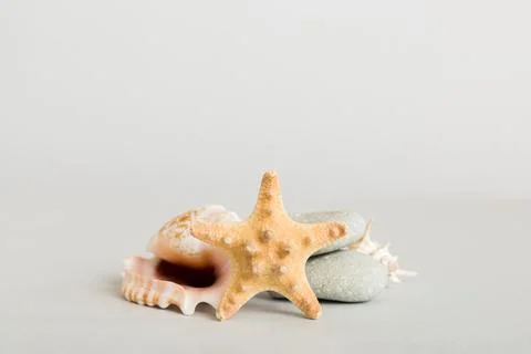 Summer time concept with sea shells or starfish on a table background with co Stock Photos