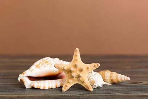 Summer time concept with sea shells or starfish on a table background with .. Stock Photos