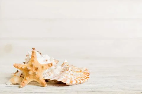 Summer time concept with sea shells or starfish on a table background with co 스톡 사진