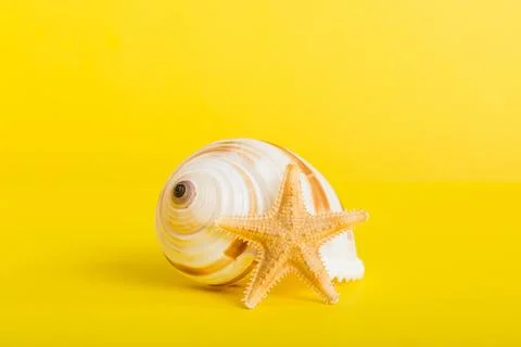 Summer time concept with sea shells or starfish on a table background with .. 스톡 사진