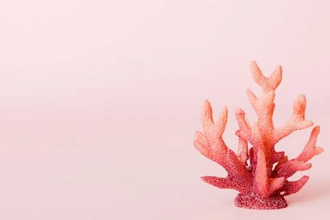 Summer time concept with sea shells or starfish on a table background with .. Foto stock