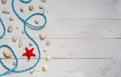 Summer time concept with seashells and starfish on blue wooden boards. Rest on Stock Photos