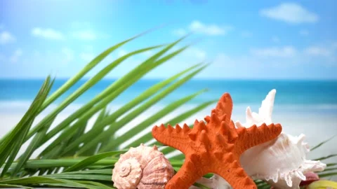 Summer time concept starfish with seashells and blurred beach background. 스톡 동영상 130587482