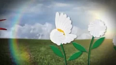 Summer Time Flowers Stock After Effects