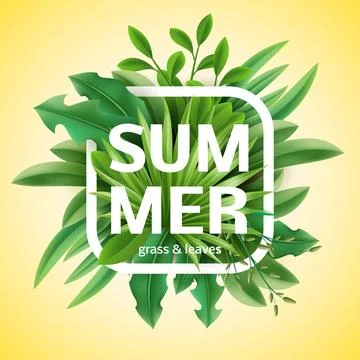 Summer time frame. Realistic spring green grass, lawn plants and herbs, natural Illustrazione stock