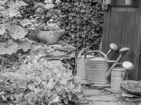 Summer time in the garden Stock Photos