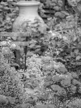Summer time in the garden Stock Photos