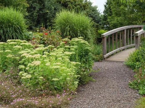 Summer time in the garden Foto stock