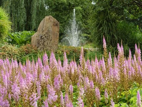 Summer time in the garden Foto stock