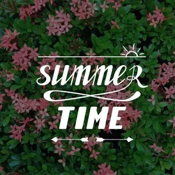 Summer time hand written lettering Stock Illustration