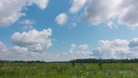 Summer time lapse of rural meadow Landscape Stock Footage 253488801
