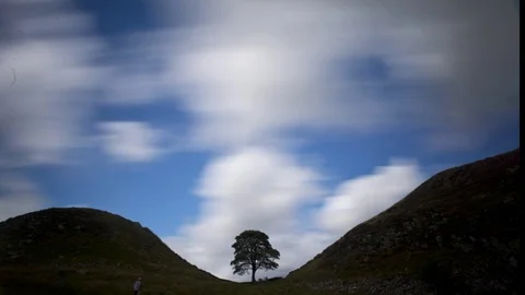 A summer time lapse at the Sycamore Gap, Northumberland, England Stock Footage 90949450