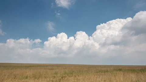 Summer time lapse wheat fields and scenic clouds Video stock 95228048