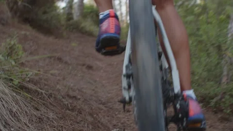 Summer Time Mountain Biking Young Biker in a Forest in Slow Motion Stock Footage 260259999