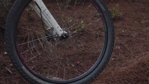 Summer Time Mountain Biking Young Biker in a Forest in Slow Motion Stock Footage 260260017