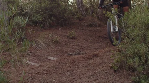 Summer Time Mountain Biking Young Biker in a Forest in Slow Motion Stock Footage 260260026
