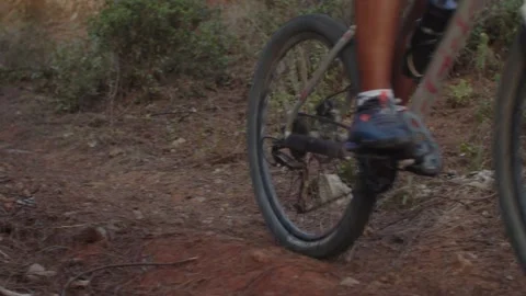 Summer Time Mountain Biking Young Biker in a Forest in Slow Motion Stock Footage 260260033