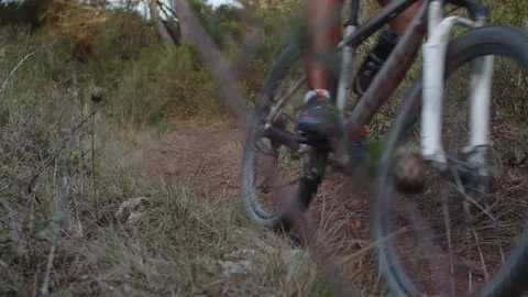 Summer Time Mountain Biking Young Biker in a Forest in Slow Motion Stock Footage 260260037