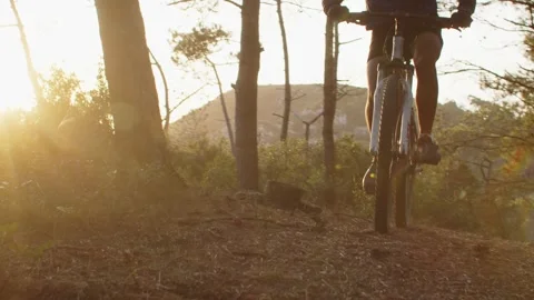 Summer Time Mountain Biking Young Biker in a Forest in Slow Motion Stock Footage 260260144