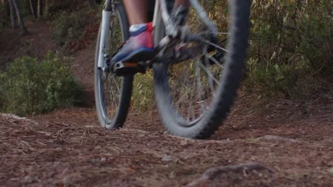 Summer Time Mountain Biking Young Biker in a Forest in Slow Motion Stock Footage 260260173
