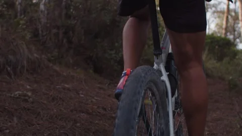 Summer Time Mountain Biking Young Biker in a Forest in Slow Motion Stock Footage 260260174