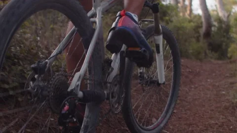 Summer Time Mountain Biking Young Biker in a Forest in Slow Motion Stock Footage 260260194