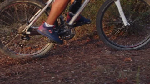 Summer Time Mountain Biking Young Biker in a Forest in Slow Motion Stock Footage 260260229