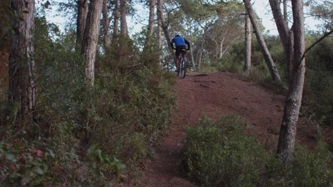 Summer Time Mountain Biking Young Biker in a Forest in Slow Motion Stock Footage 260260302