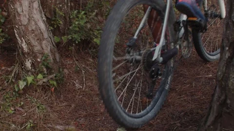 Summer Time Mountain Biking Young Biker in a Forest in Slow Motion Stock Footage 260260313