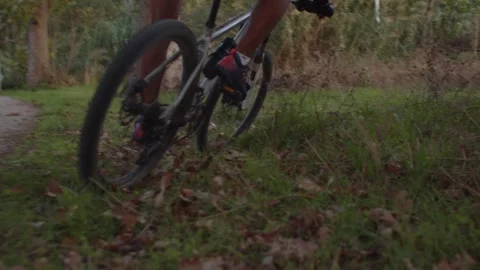 Summer Time Mountain Biking Young Biker in a Forest in Slow Motion Stock Footage 260260466