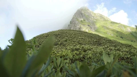 Summer time mountain nature panoramic landscape in caucasus mountains Stock Footage 115029393