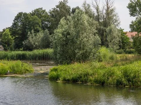 Summer time in the netherlands Foto stock