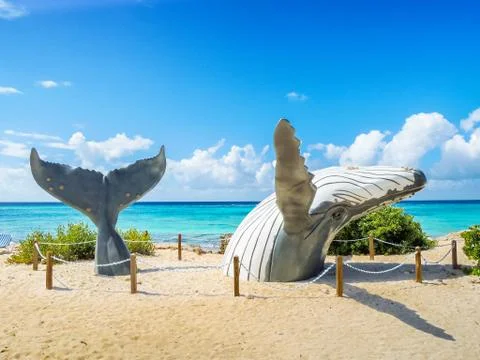 Summer time Paradise Foto stock