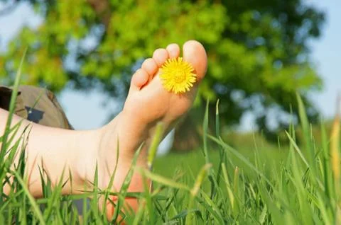 Summer time Stock Photos