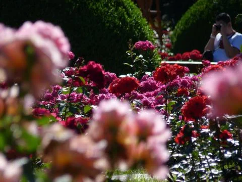 Summer time Stock Photos