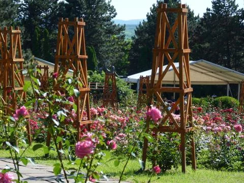 Summer time Stock Photos