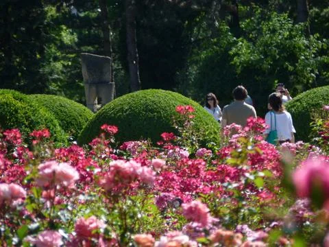 Summer time Фото