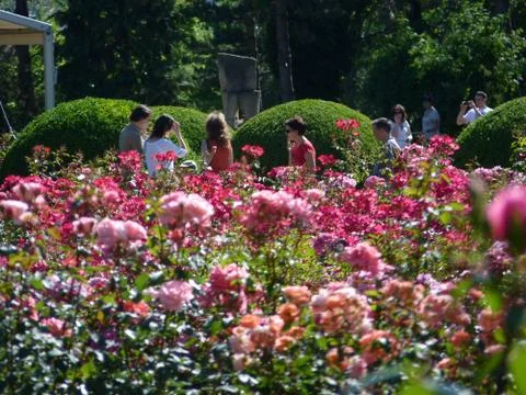 Summer time Foto stock