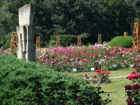 Summer time Stock Photos