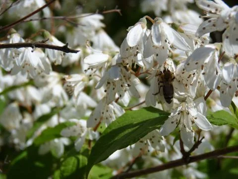 Summer time Foto stock