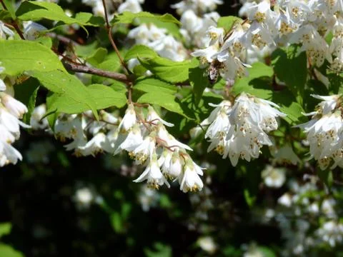 Summer time Foto stock