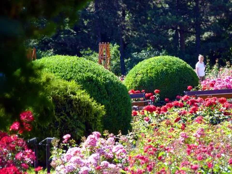 Summer time Foto stock