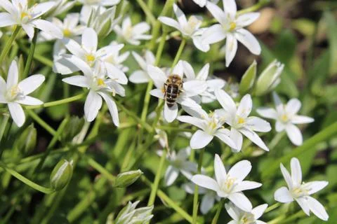 Summer time Foto stock