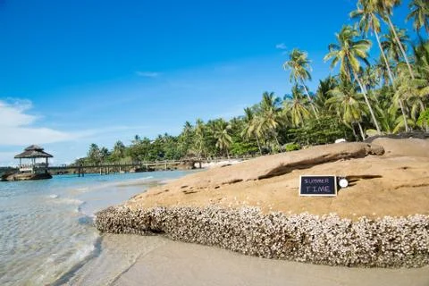 Summer time Stock Photos