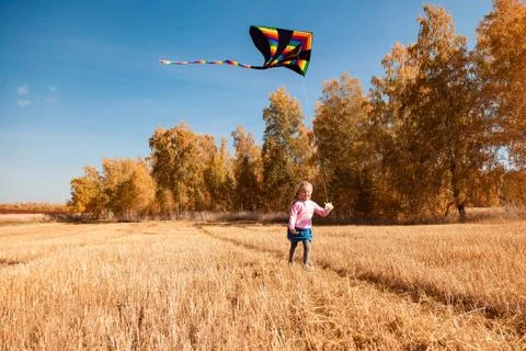 Summer time Stock Photos