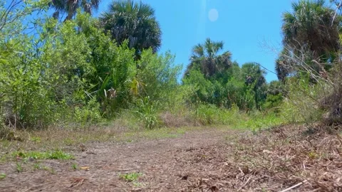 Summer time in South Florida! Stock Footage 153495553