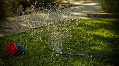 Summer Time in the Sprinkler Stock Footage 525436